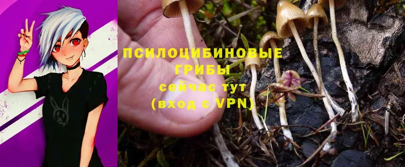 blacksprut ONION  Соликамск  Галлюциногенные грибы Magic Shrooms 